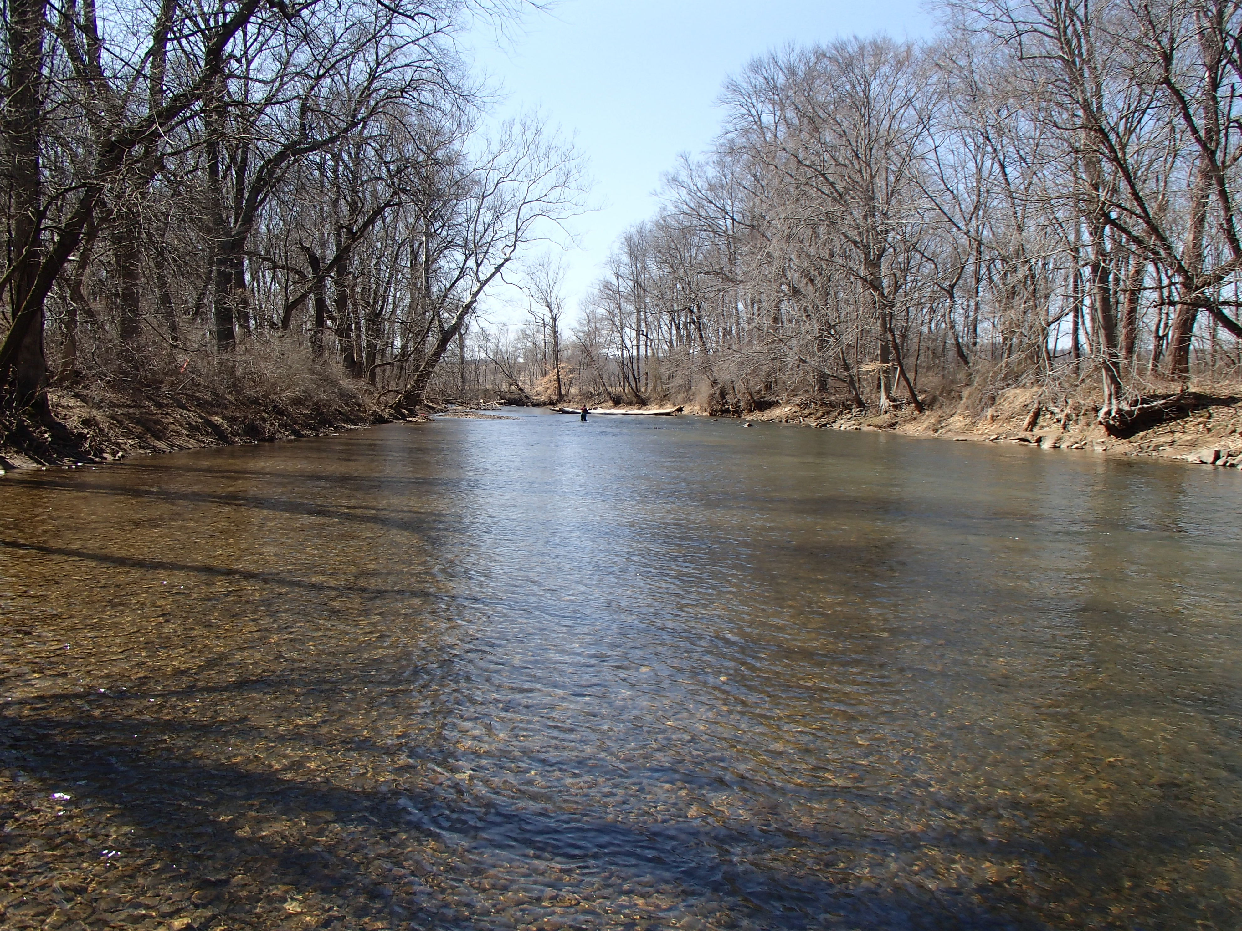 Field photo showing stream conditions at site DEER-408-R-2015_Midpoint-looking-upstream