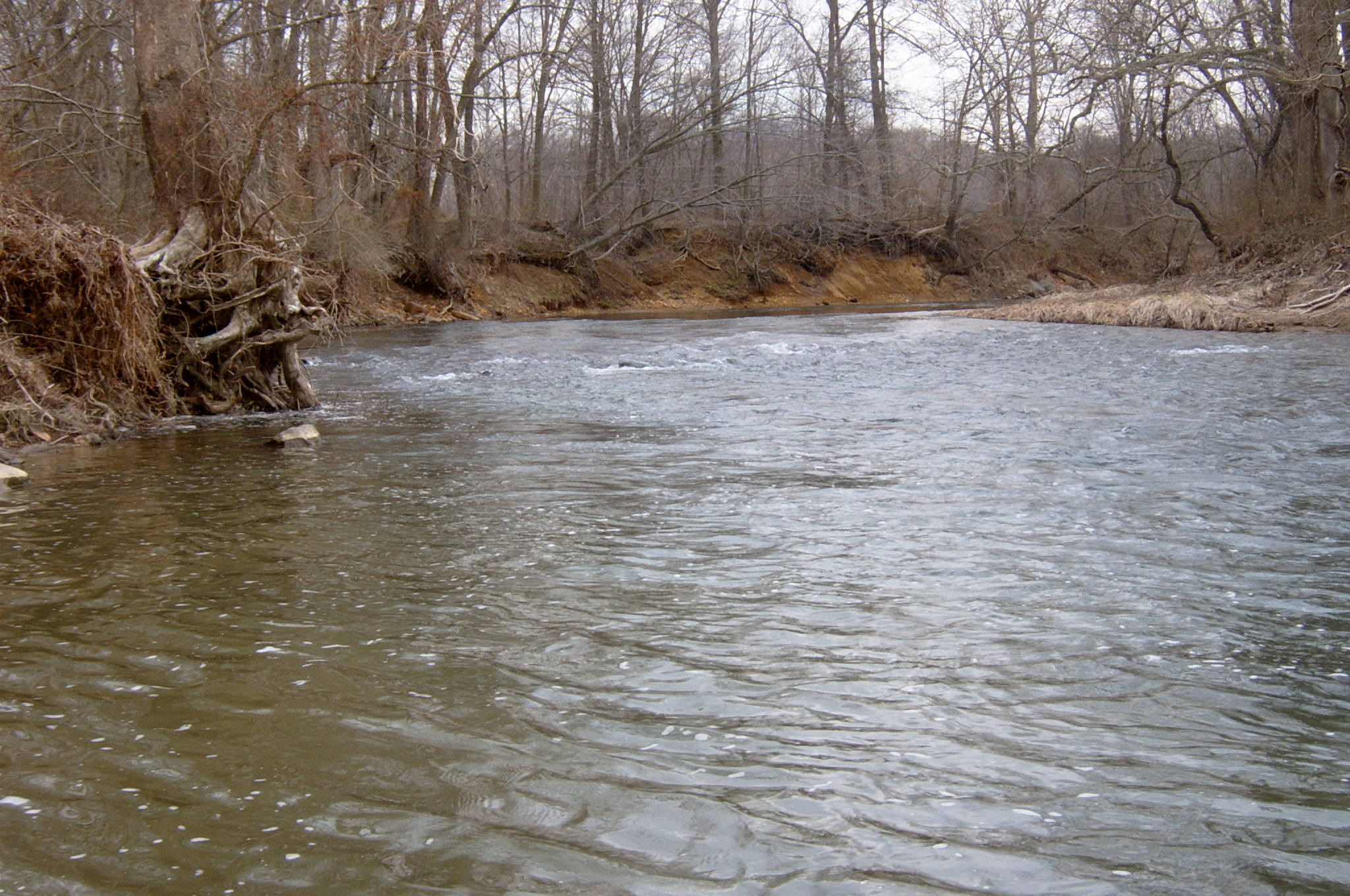 Field photo showing stream conditions at site DEER-411-R-2004-58