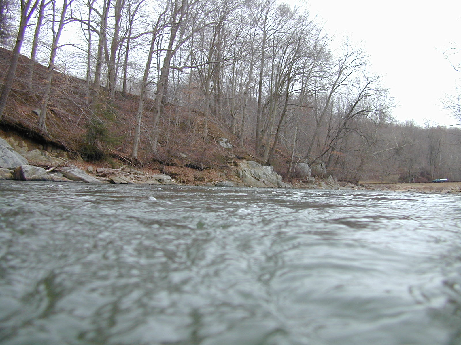 Field photo showing stream conditions at site DEER-414-R-2001-1