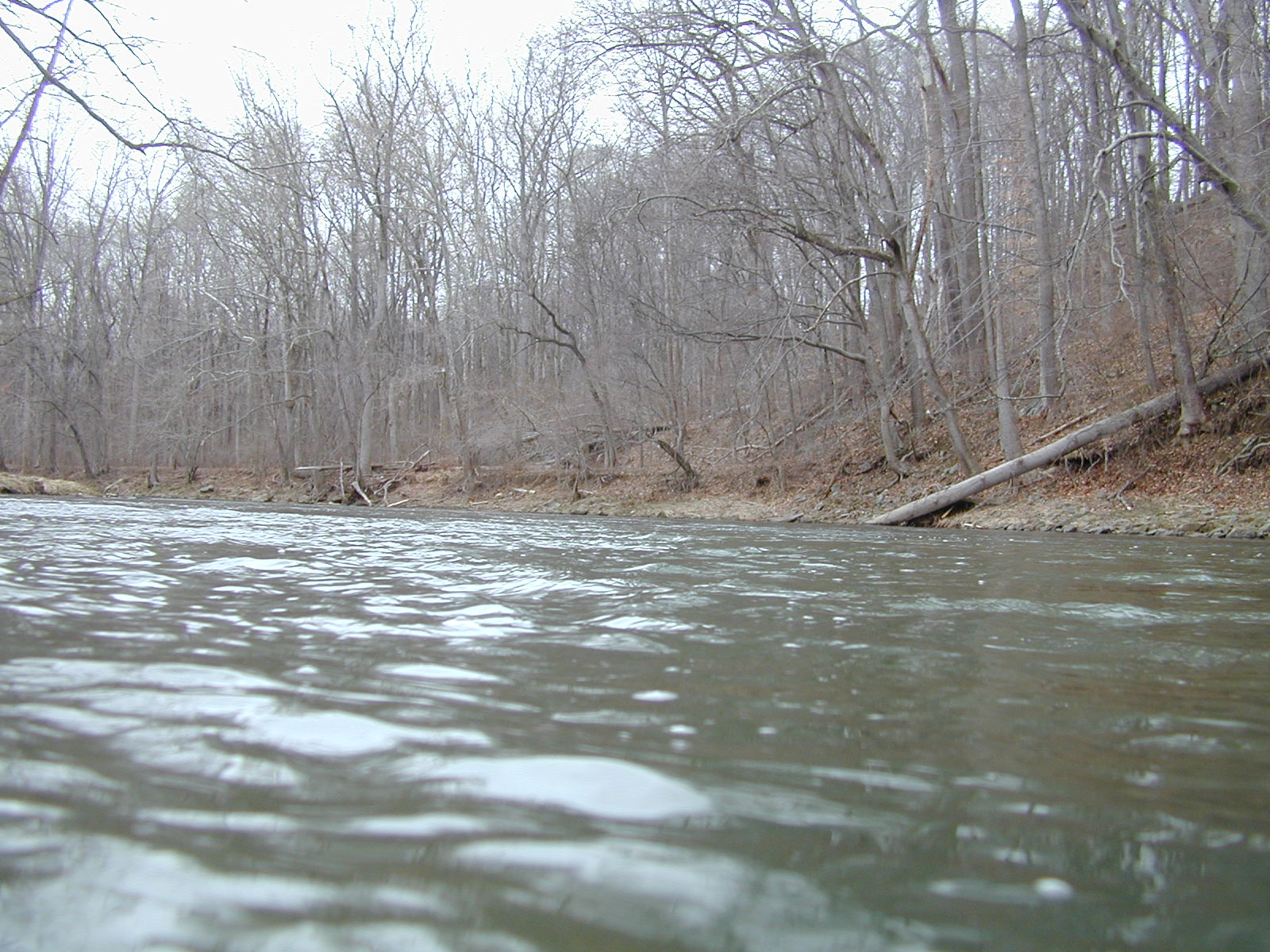 Field photo showing stream conditions at site DEER-414-R-2001-2