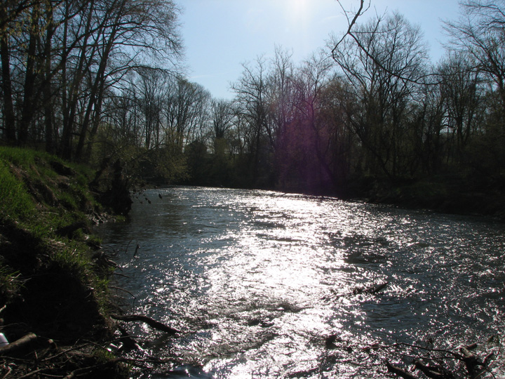 Field photo showing stream conditions at site DEER-460-A-2007-1