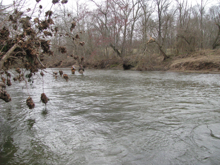 Field photo showing stream conditions at site DEER-460-A-2011-2