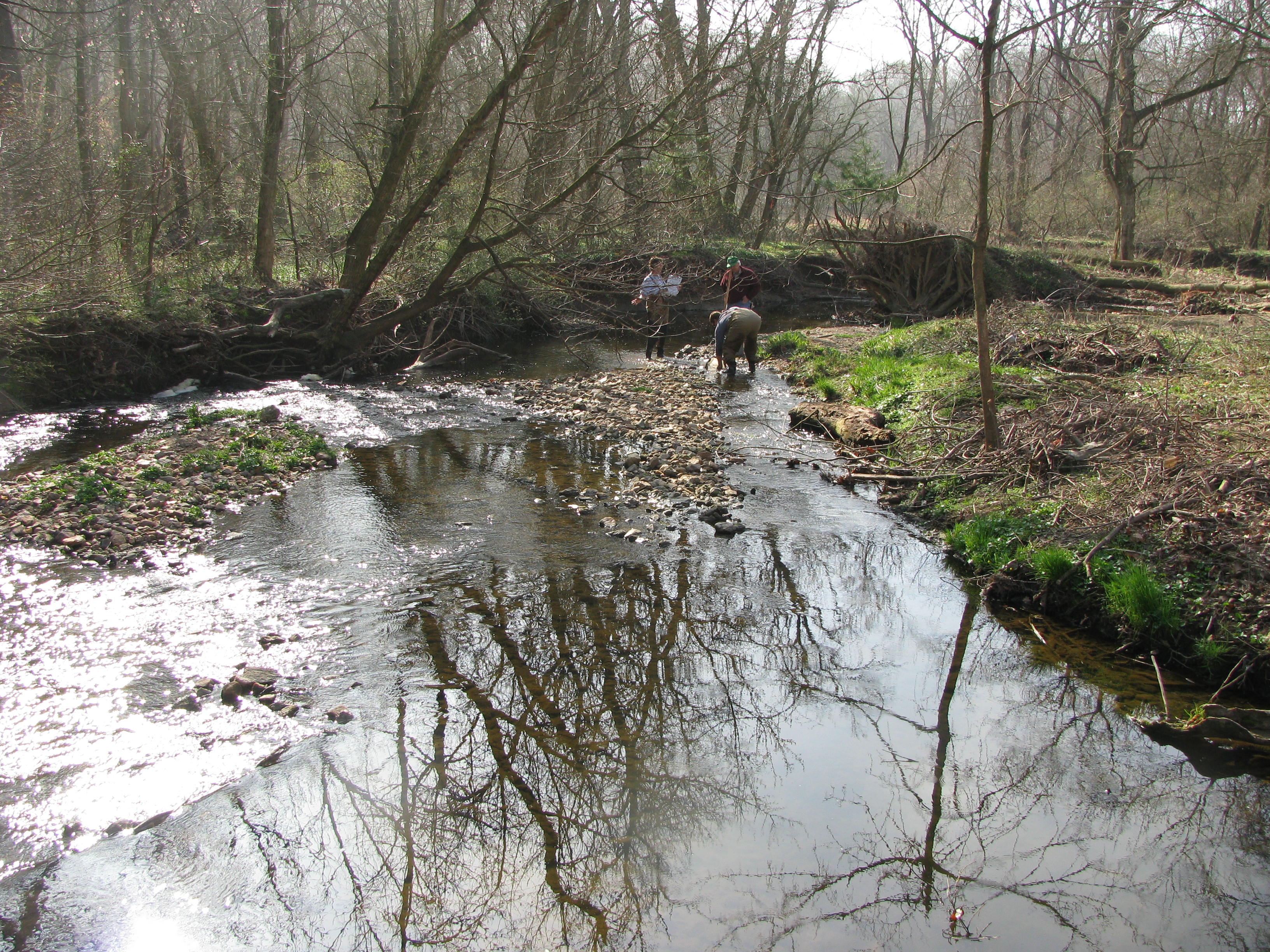 Field photo showing stream conditions at site DELA-291-B-2012-2