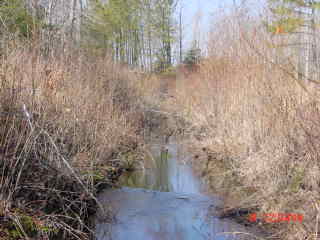 Field photo showing stream conditions at site DIVI-104-R-2001-1