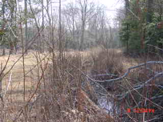 Field photo showing stream conditions at site DIVI-104-R-2001-2