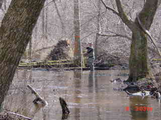 Field photo showing stream conditions at site DIVI-107-R-2001-1