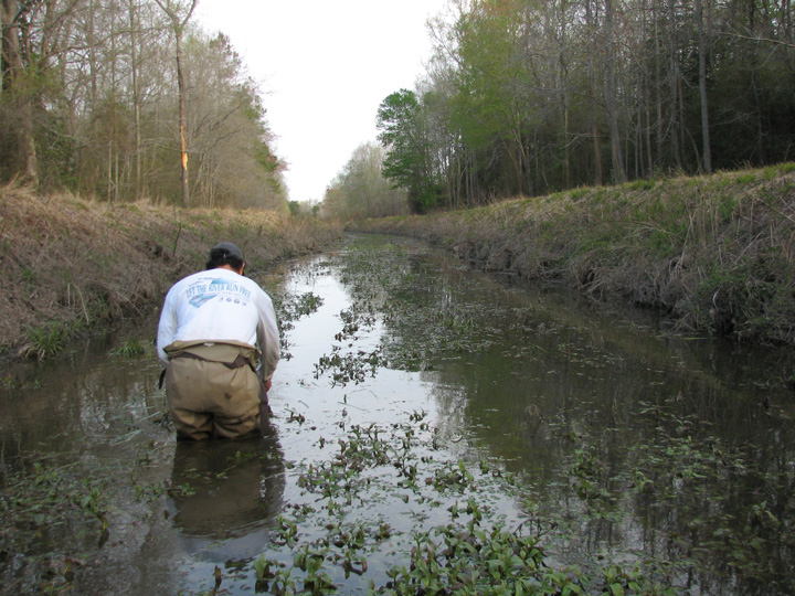Field photo showing stream conditions at site DIVI-107-R-2007-1