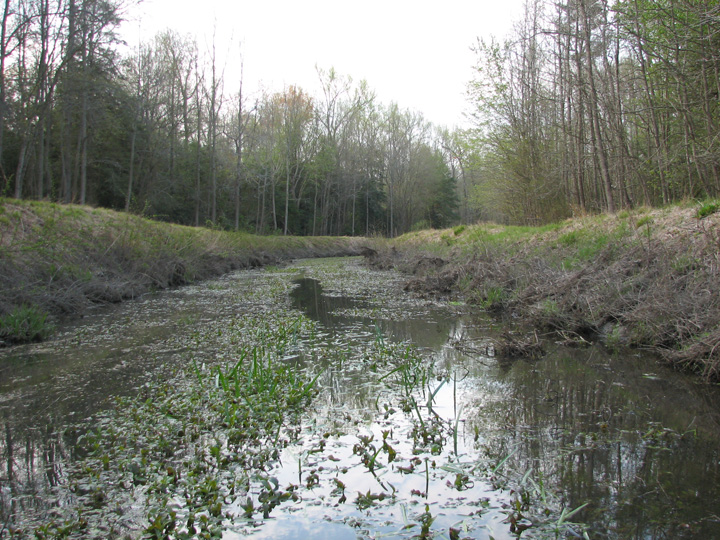 Field photo showing stream conditions at site DIVI-107-R-2007-2