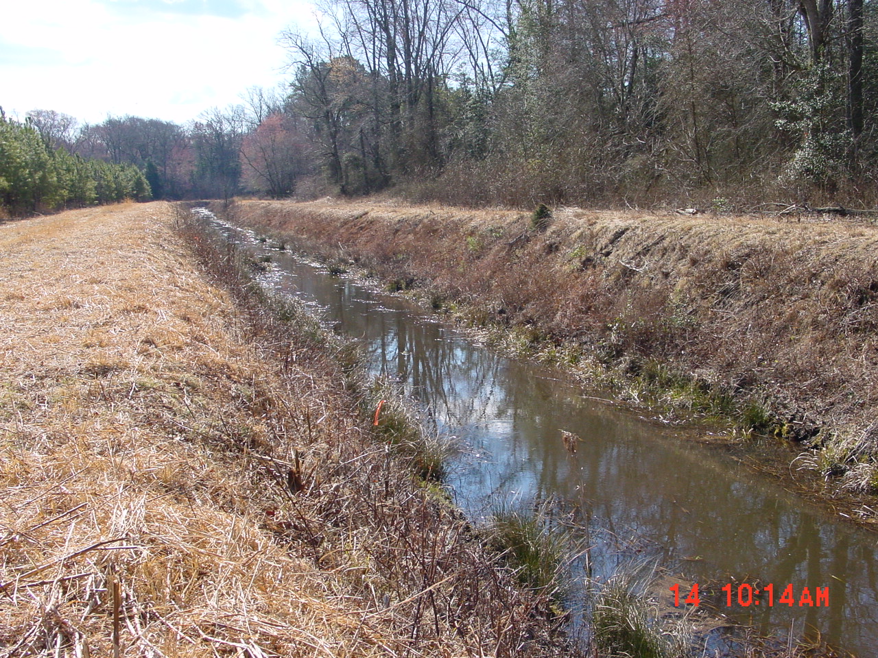 Field photo showing stream conditions at site DIVI-109-R-2001-1