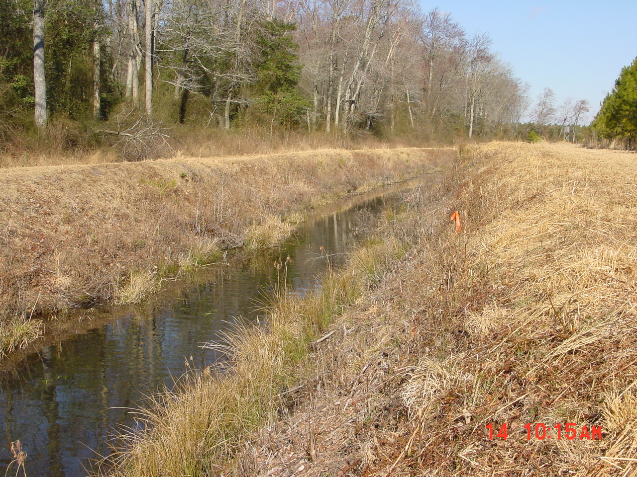 Field photo showing stream conditions at site DIVI-109-R-2001-2