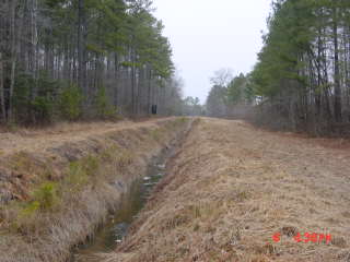 Field photo showing stream conditions at site DIVI-110-R-2001-1