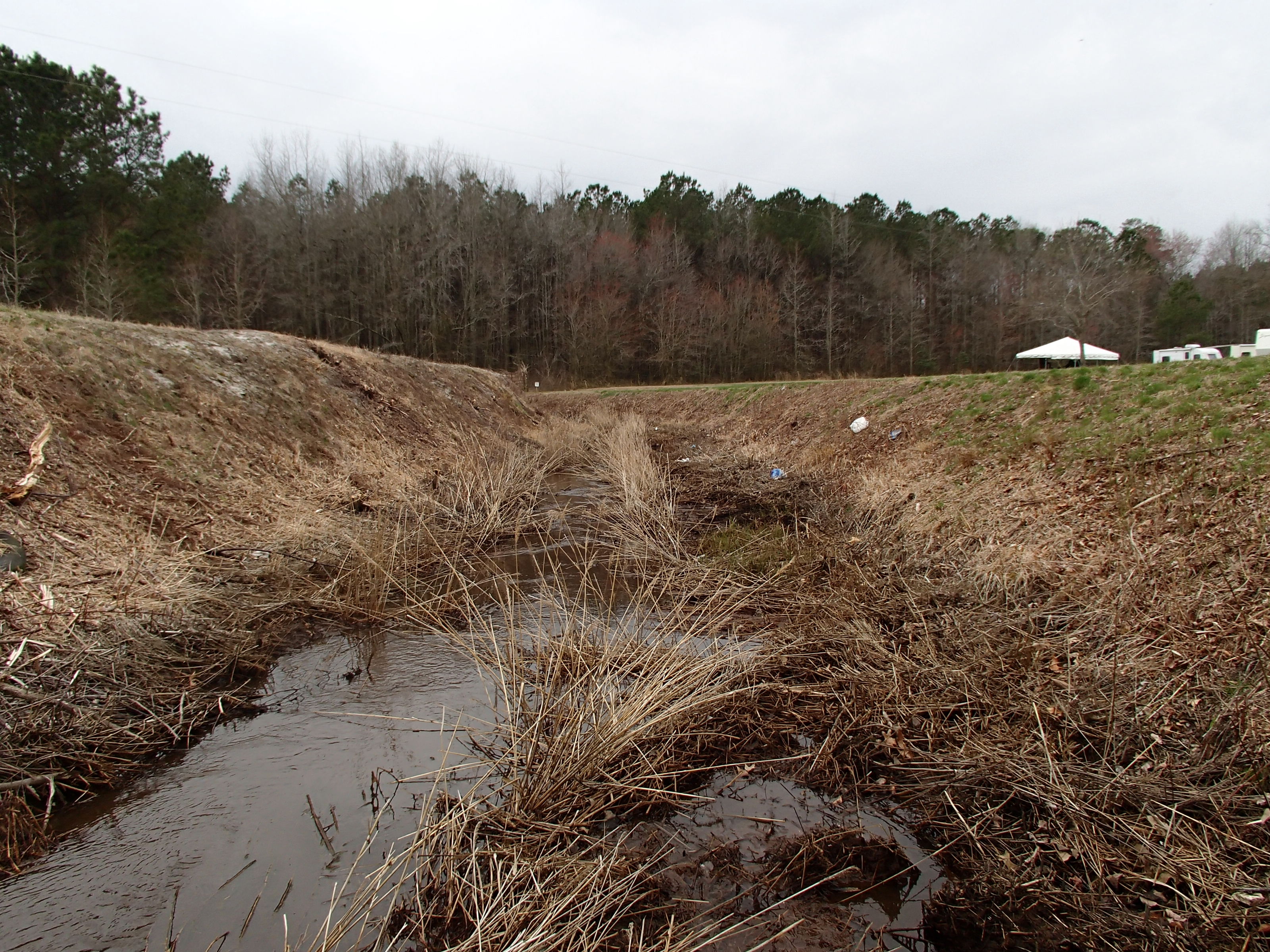 Field photo showing stream conditions at site DIVI-111-R-2015_At-50m-mark-looking-downstream