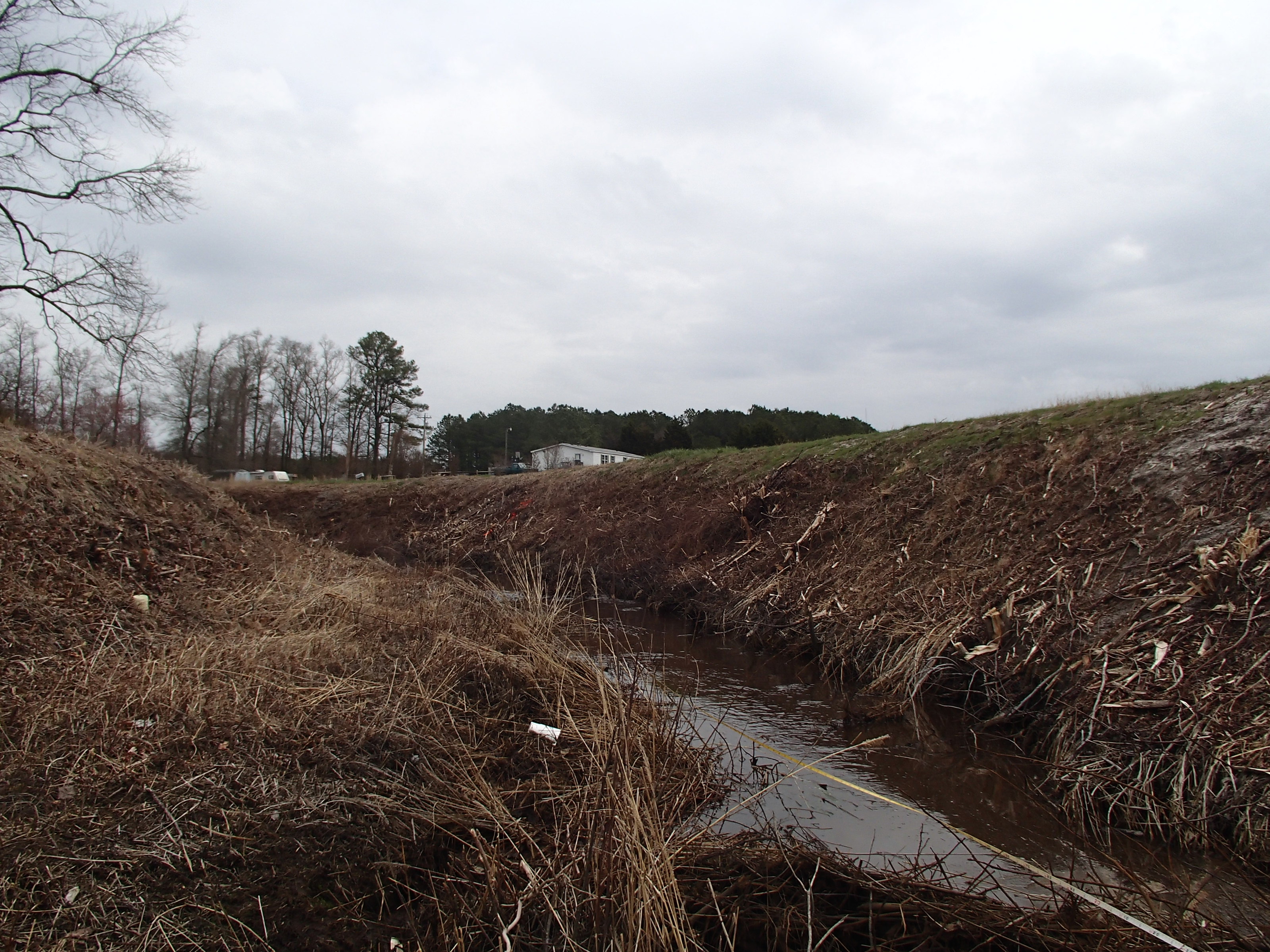Field photo showing stream conditions at site DIVI-111-R-2015_At-50m-mark-looking-upstream