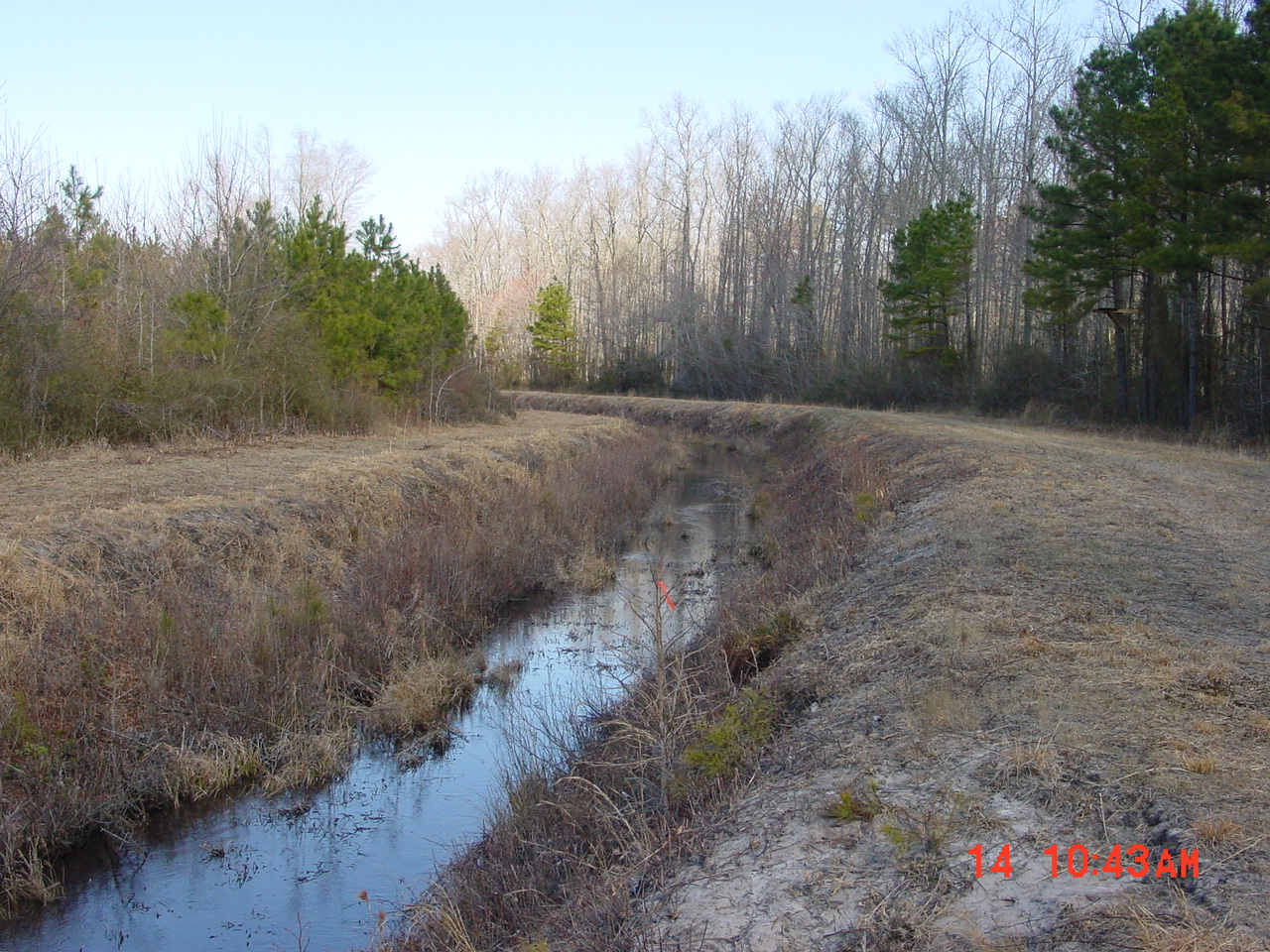 Field photo showing stream conditions at site DIVI-112-R-2001-1