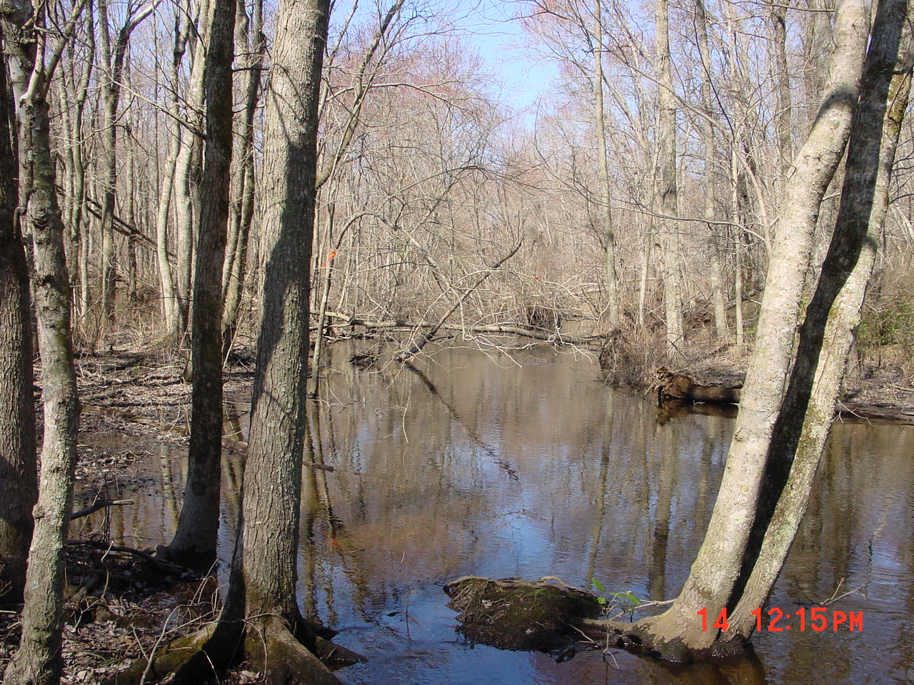 Field photo showing stream conditions at site DIVI-218-R-2001-1