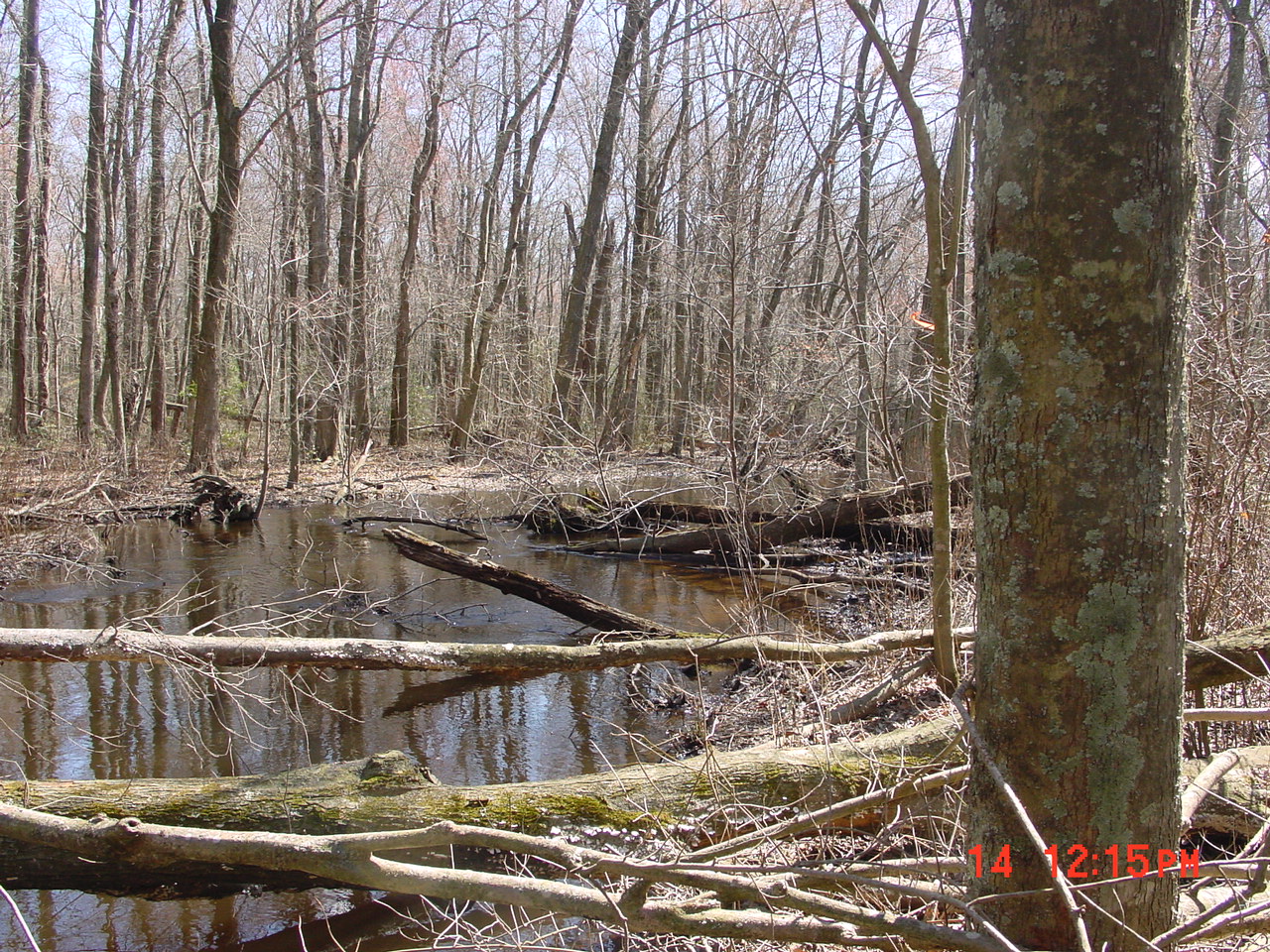 Field photo showing stream conditions at site DIVI-218-R-2001-2