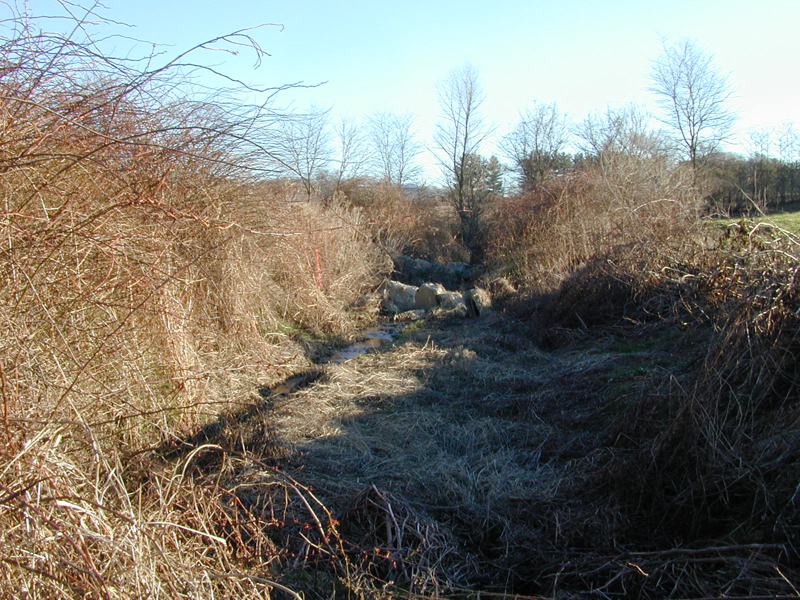 Field photo showing stream conditions at site DOUB-103-R-2002-1