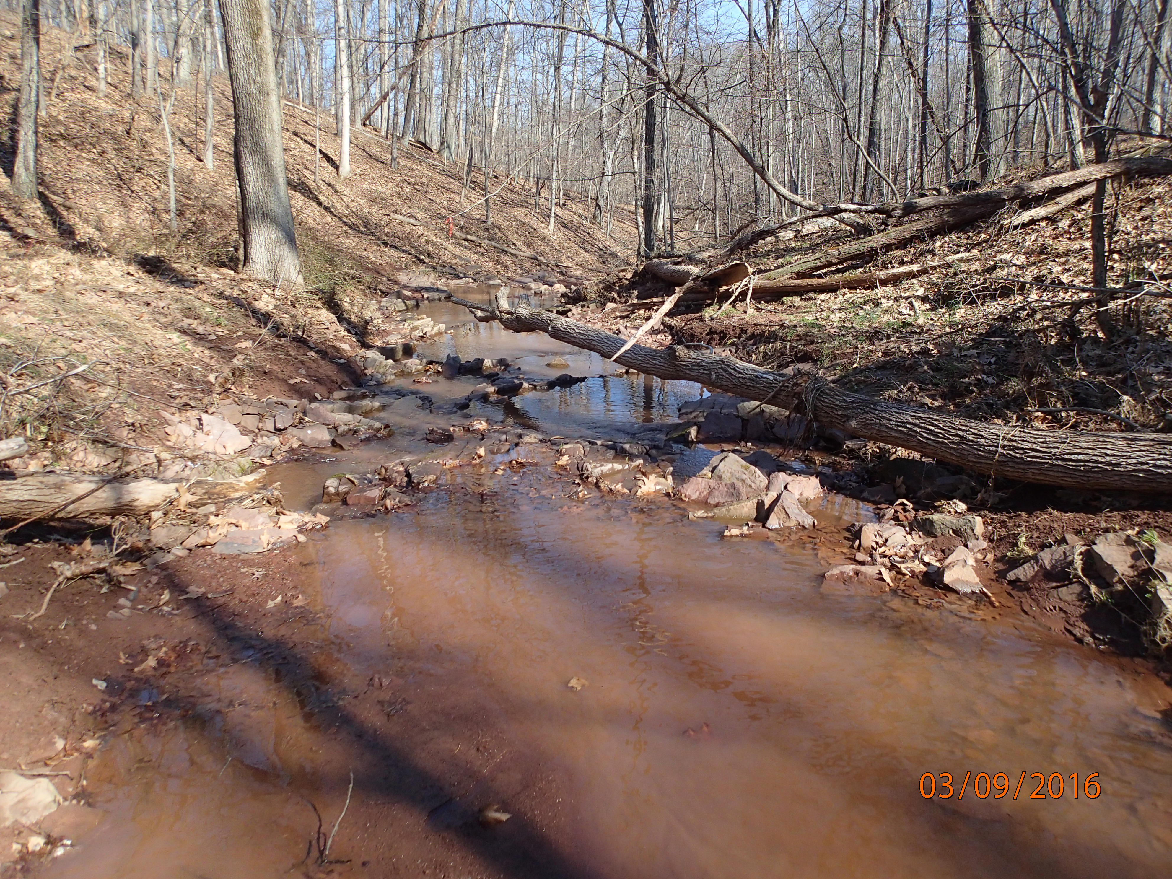 Field photo showing stream conditions at site DOUB-103-R-2016-MidpointDownstream