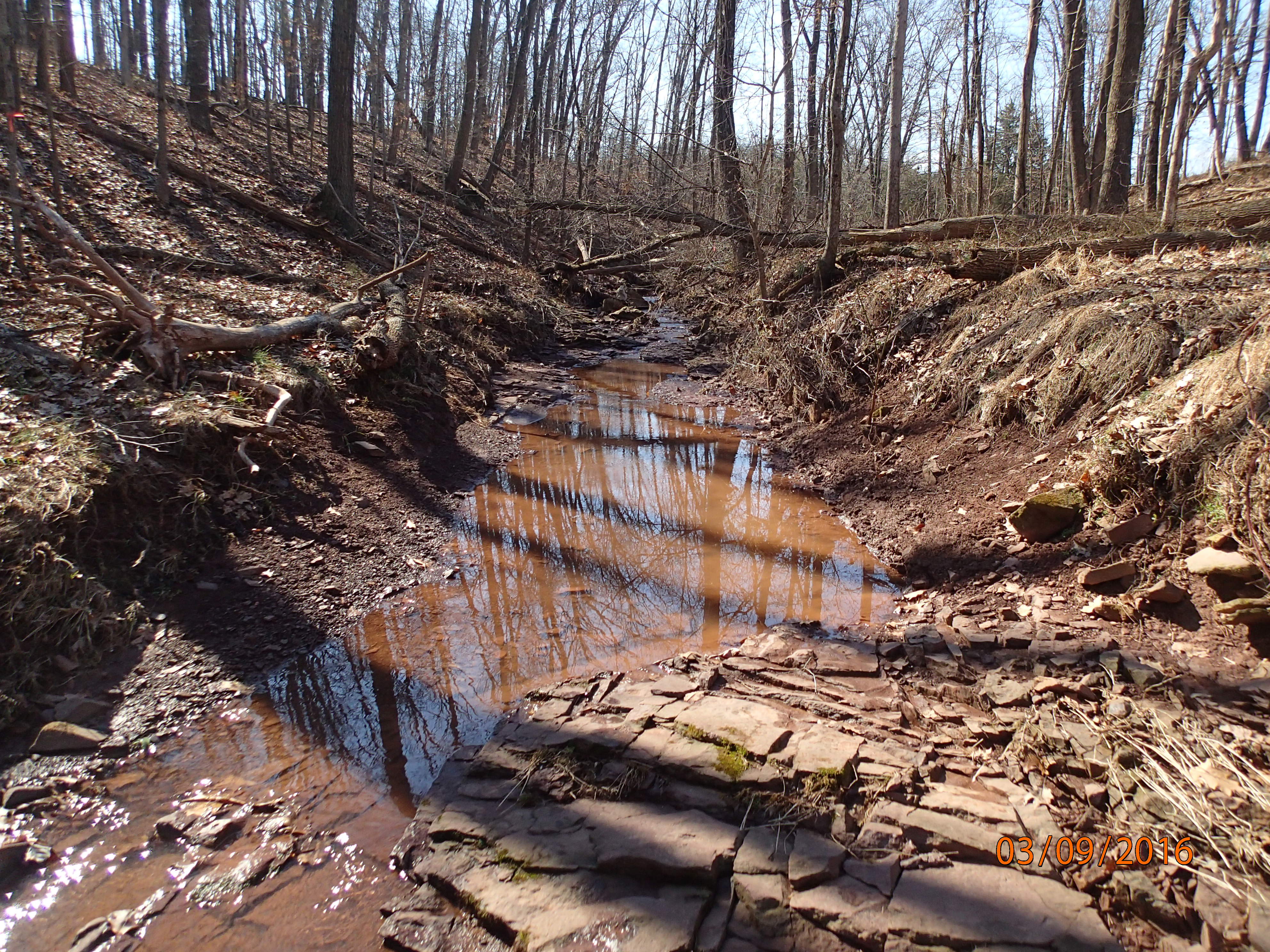 Field photo showing stream conditions at site DOUB-103-R-2016-MidpointUpstream