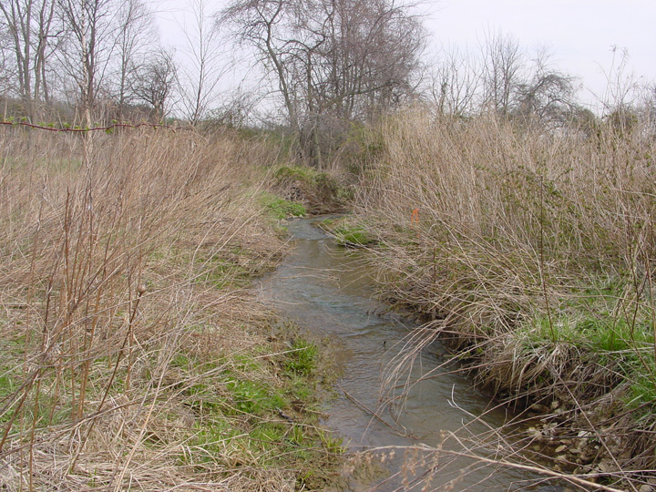 Field photo showing stream conditions at site DOUB-105-R-2007-1