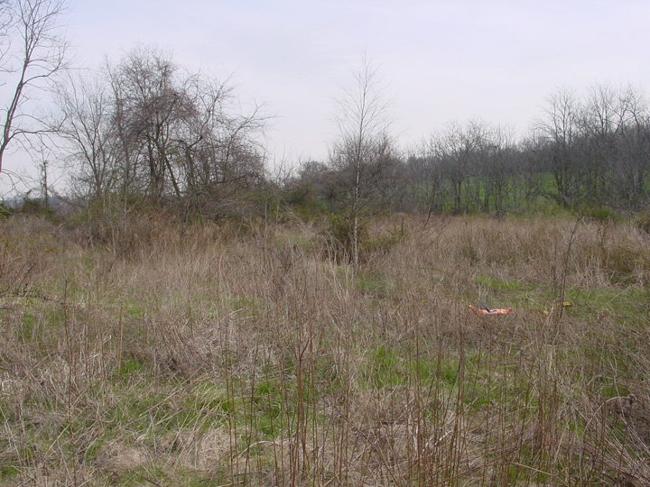 Field photo showing stream conditions at site DOUB-105-R-2007-2