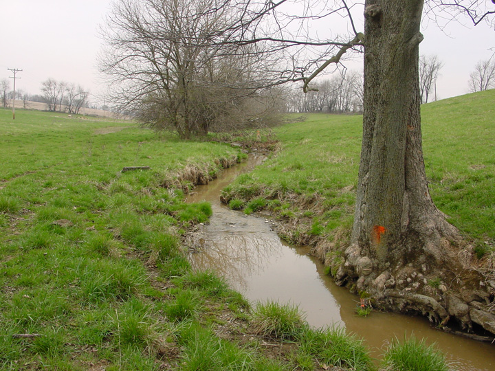 Field photo showing stream conditions at site DOUB-106-R-2007-1