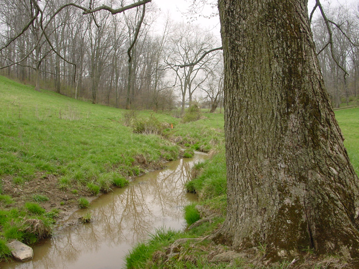 Field photo showing stream conditions at site DOUB-106-R-2007-2