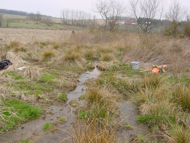 Field photo showing stream conditions at site DOUB-107-R-2007-1