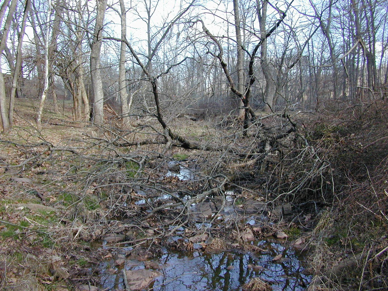 Field photo showing stream conditions at site DOUB-109-R-2002-2