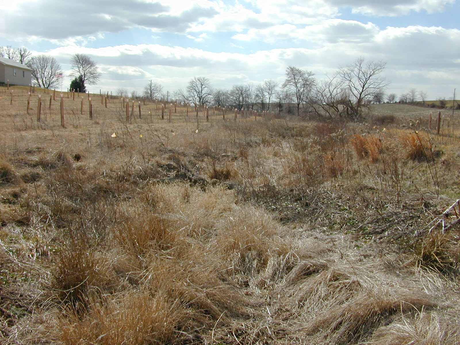 Field photo showing stream conditions at site DOUB-110-R-2002-2
