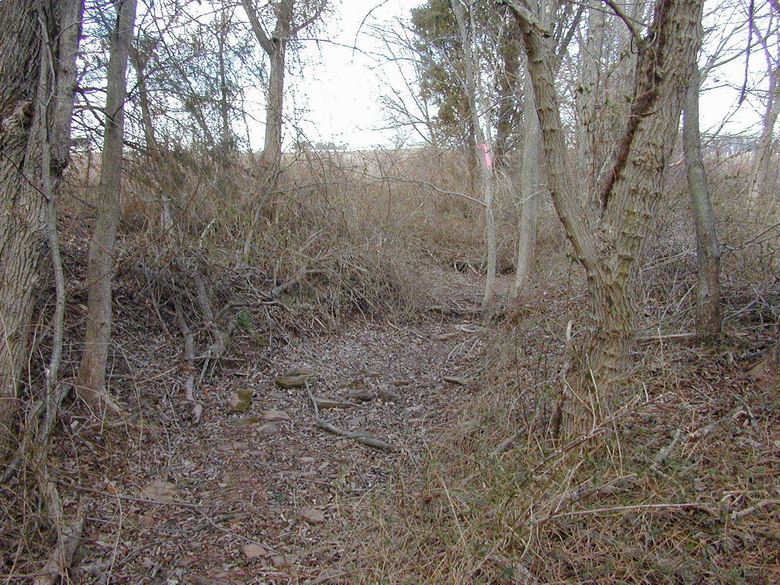 Field photo showing stream conditions at site DOUB-111-R-2002-2