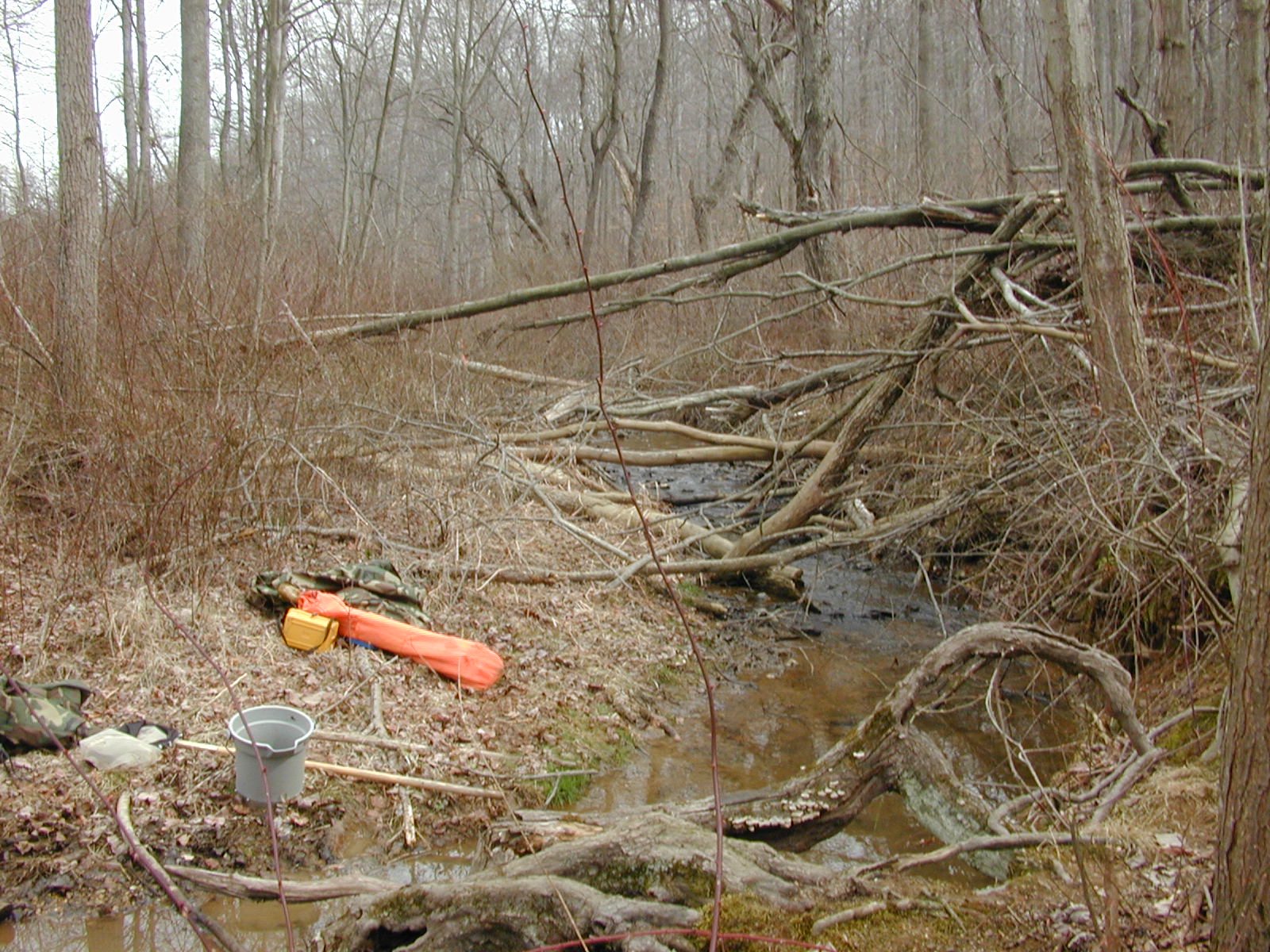 Field photo showing stream conditions at site DOUB-113-R-2002-1
