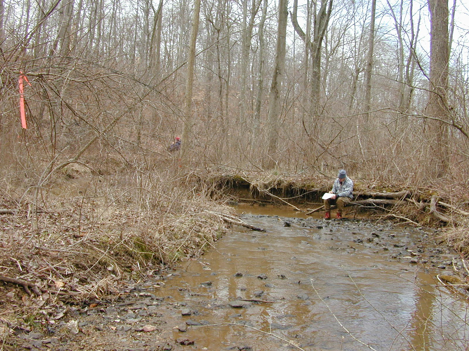 Field photo showing stream conditions at site DOUB-113-R-2002-2