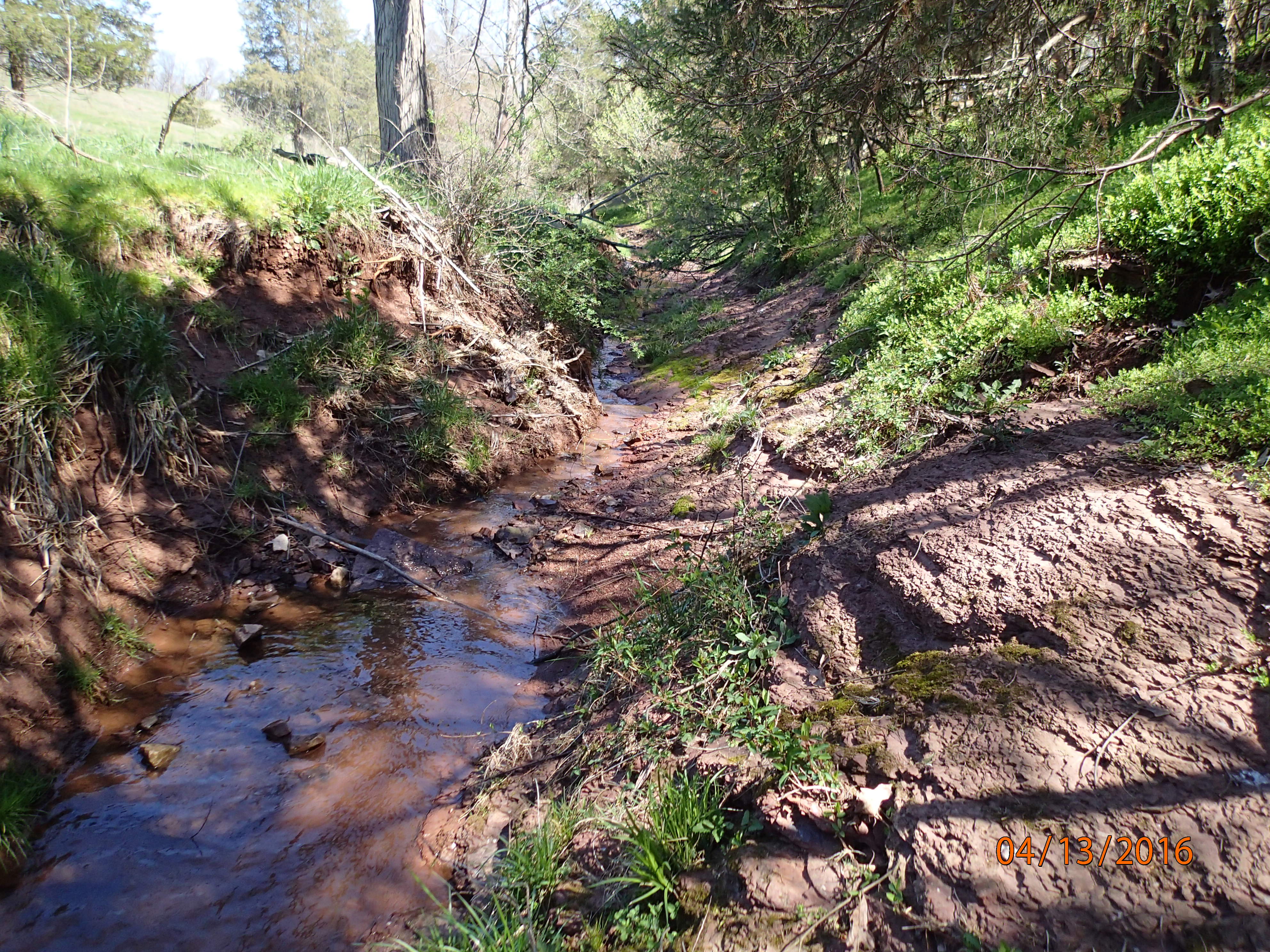 Field photo showing stream conditions at site DOUB-113-R-2016-MidpointDownstream