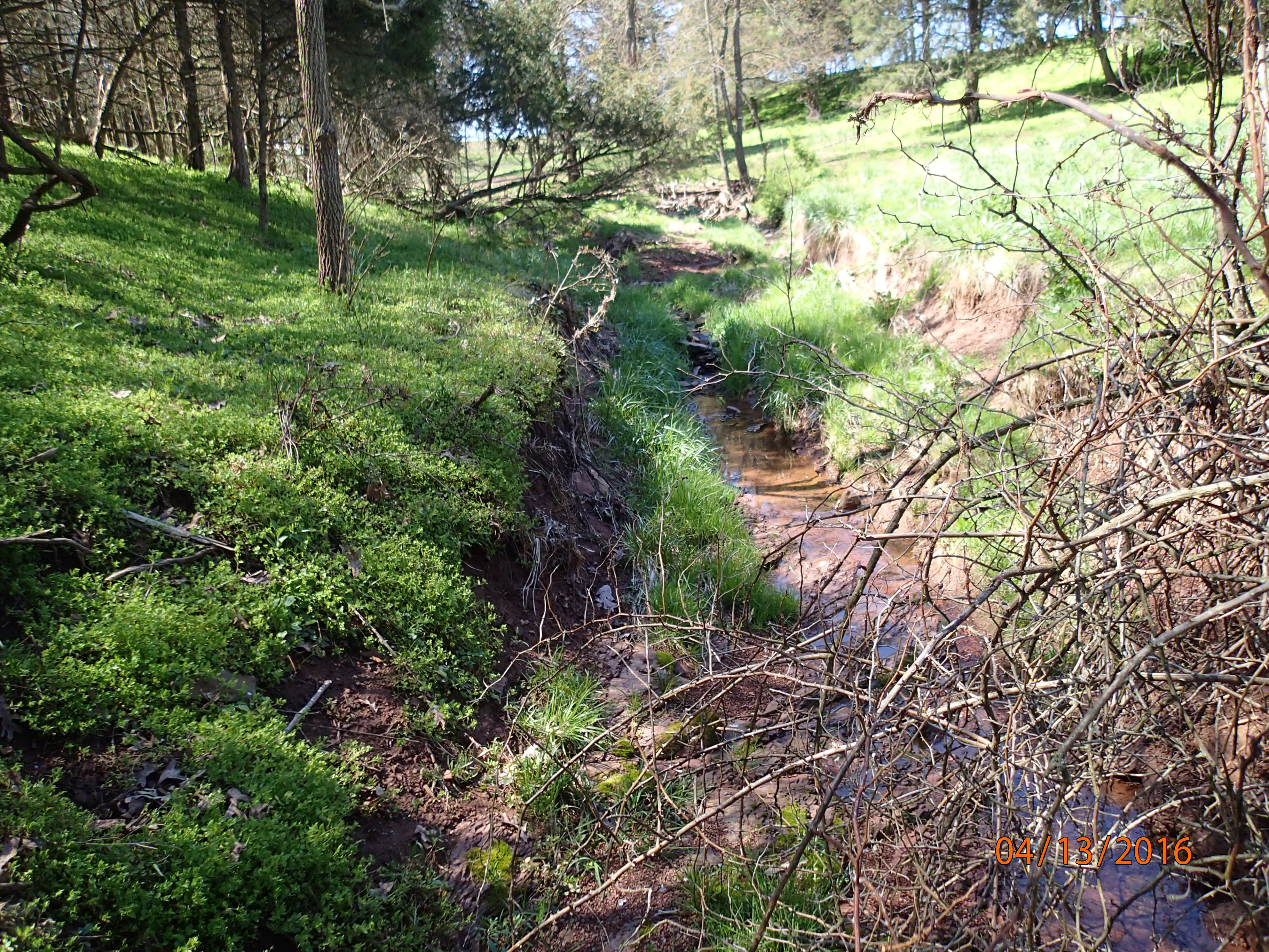Field photo showing stream conditions at site DOUB-113-R-2016-MidpointUpstream