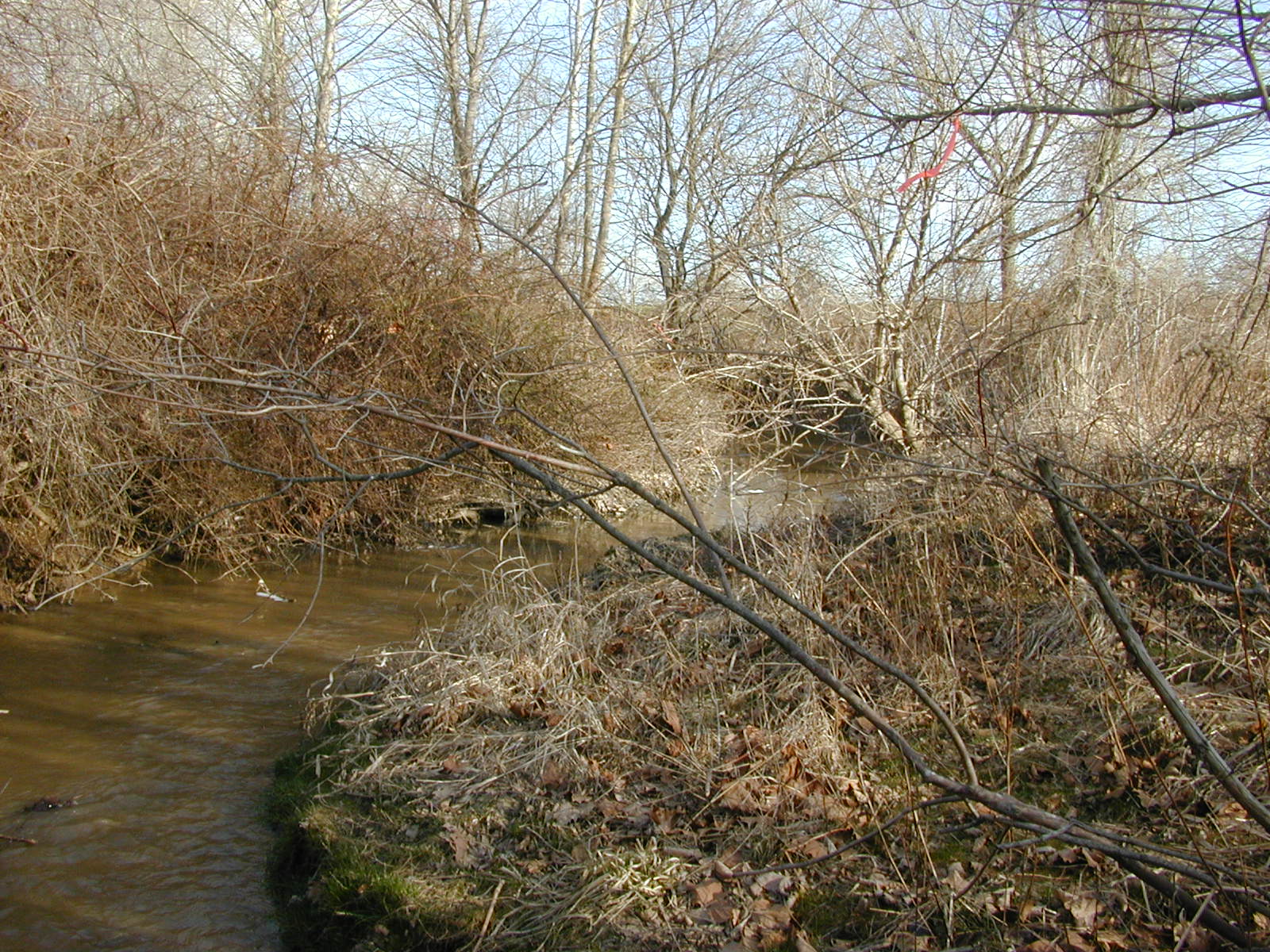 Field photo showing stream conditions at site DOUB-115-R-2002-1
