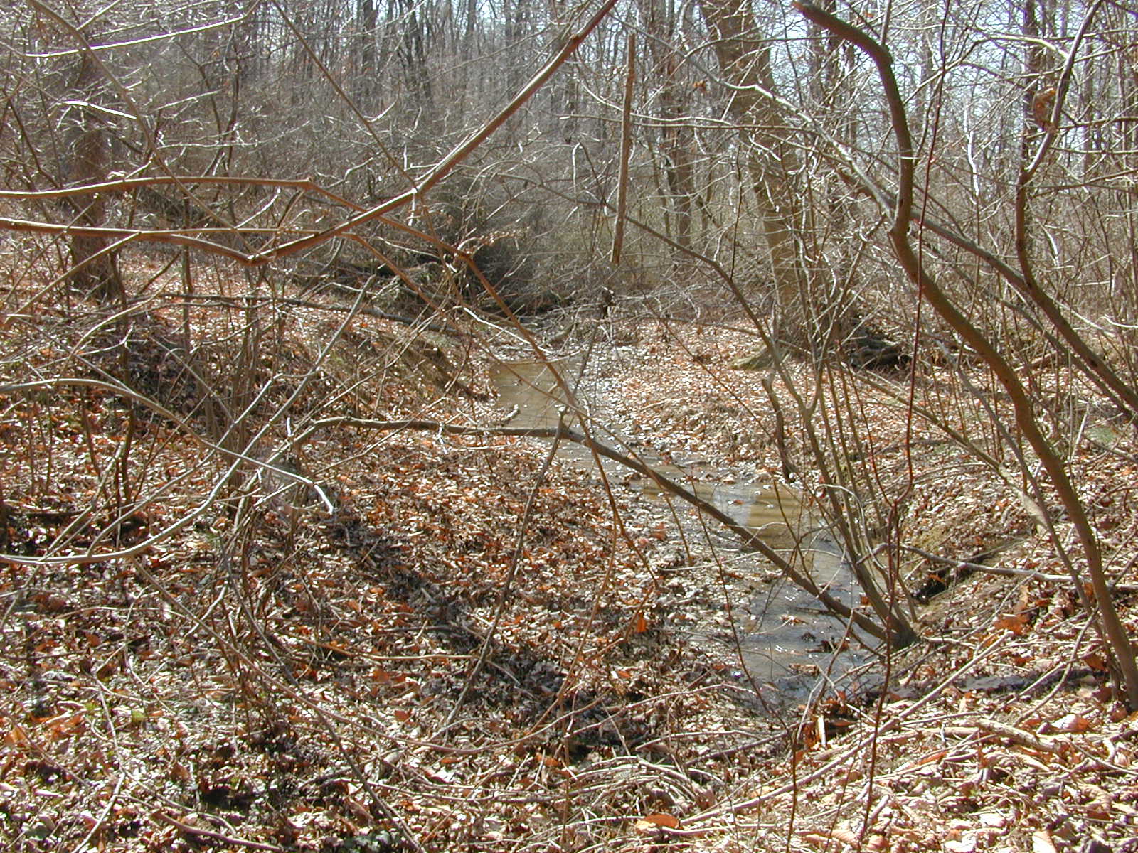 Field photo showing stream conditions at site DOUB-119-R-2002-1