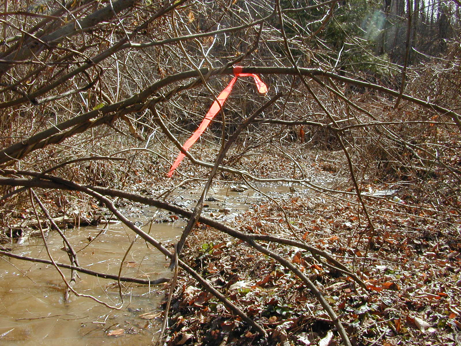 Field photo showing stream conditions at site DOUB-119-R-2002-2