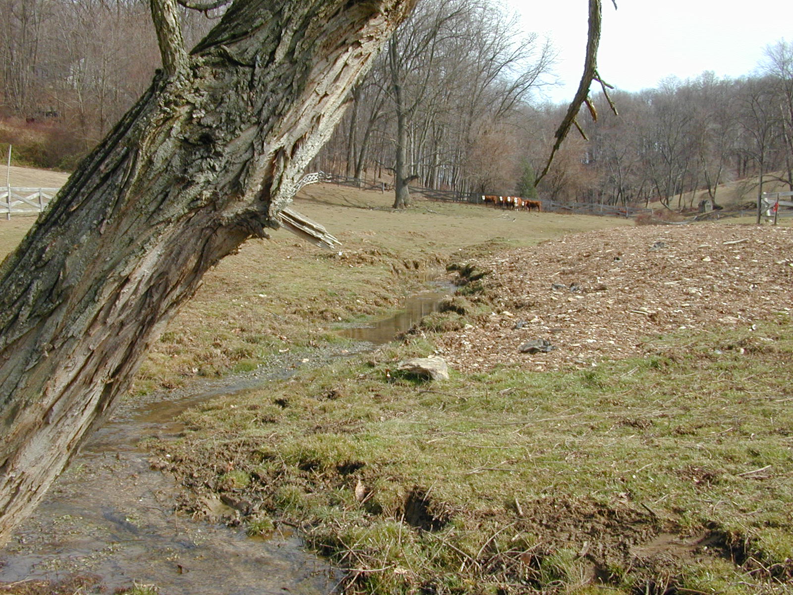 Field photo showing stream conditions at site DOUB-120-R-2002-1