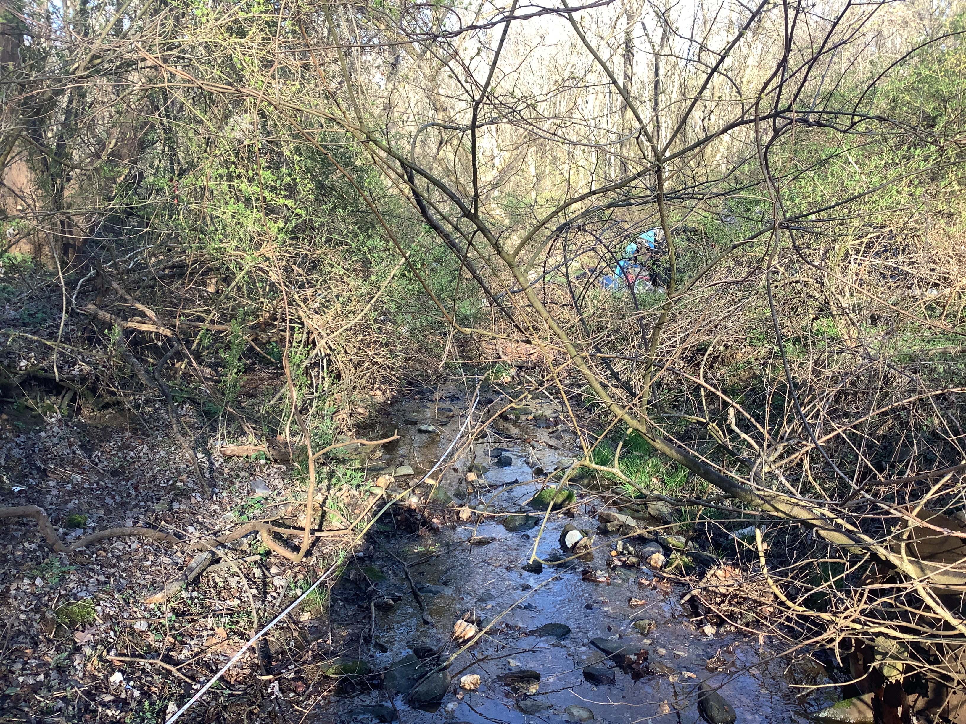 Field photo showing stream conditions at site DOUB-125-R-2023_Midpoint_facing_downstream