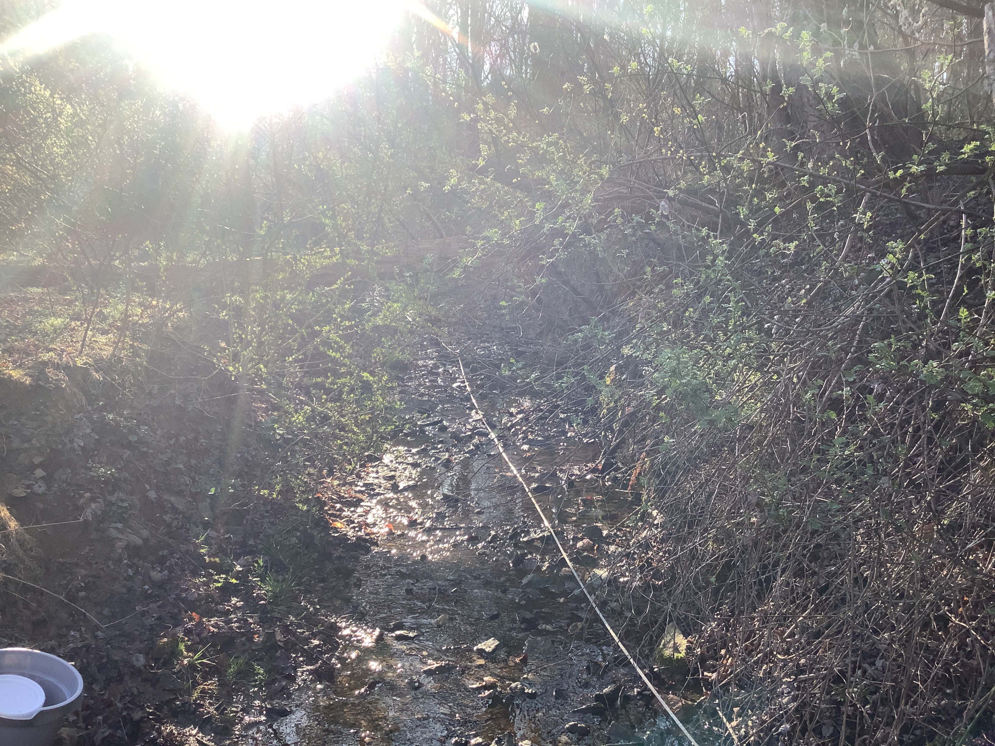 Field photo showing stream conditions at site DOUB-125-R-2023_Midpoint_facing_upstream_