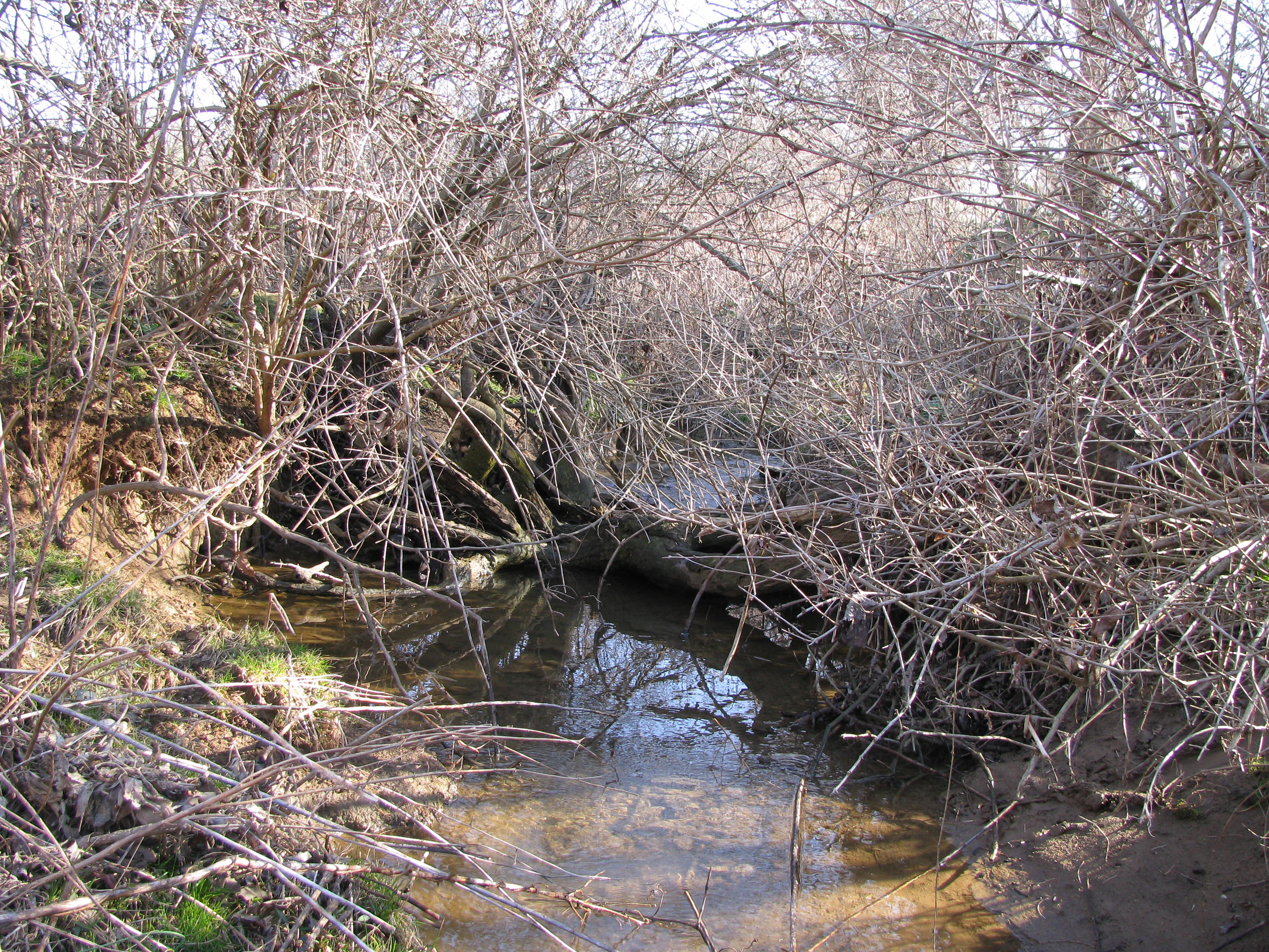 Field photo showing stream conditions at site DOUB-197-B-2012-1