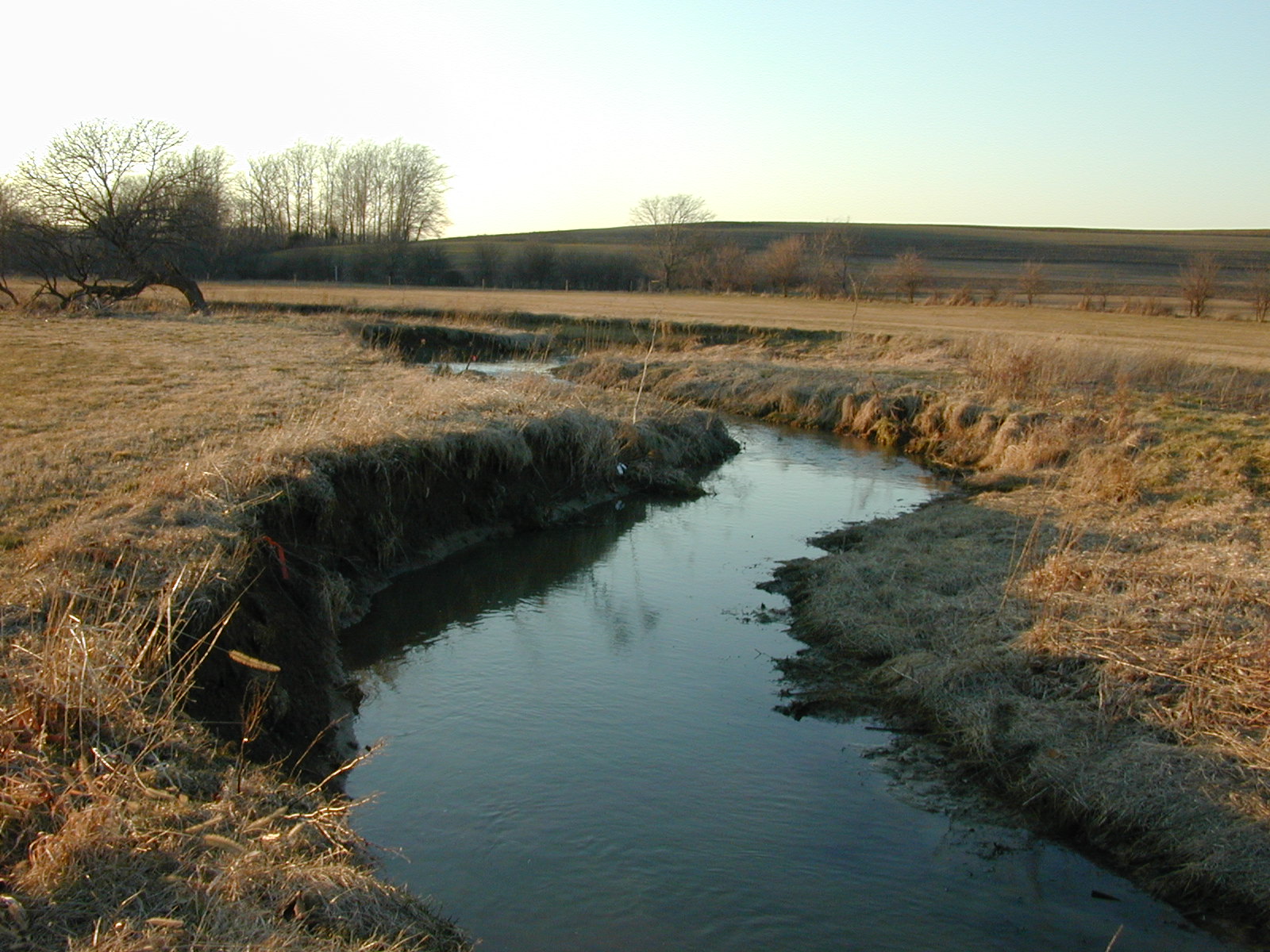 Field photo showing stream conditions at site DOUB-212-R-2002-1
