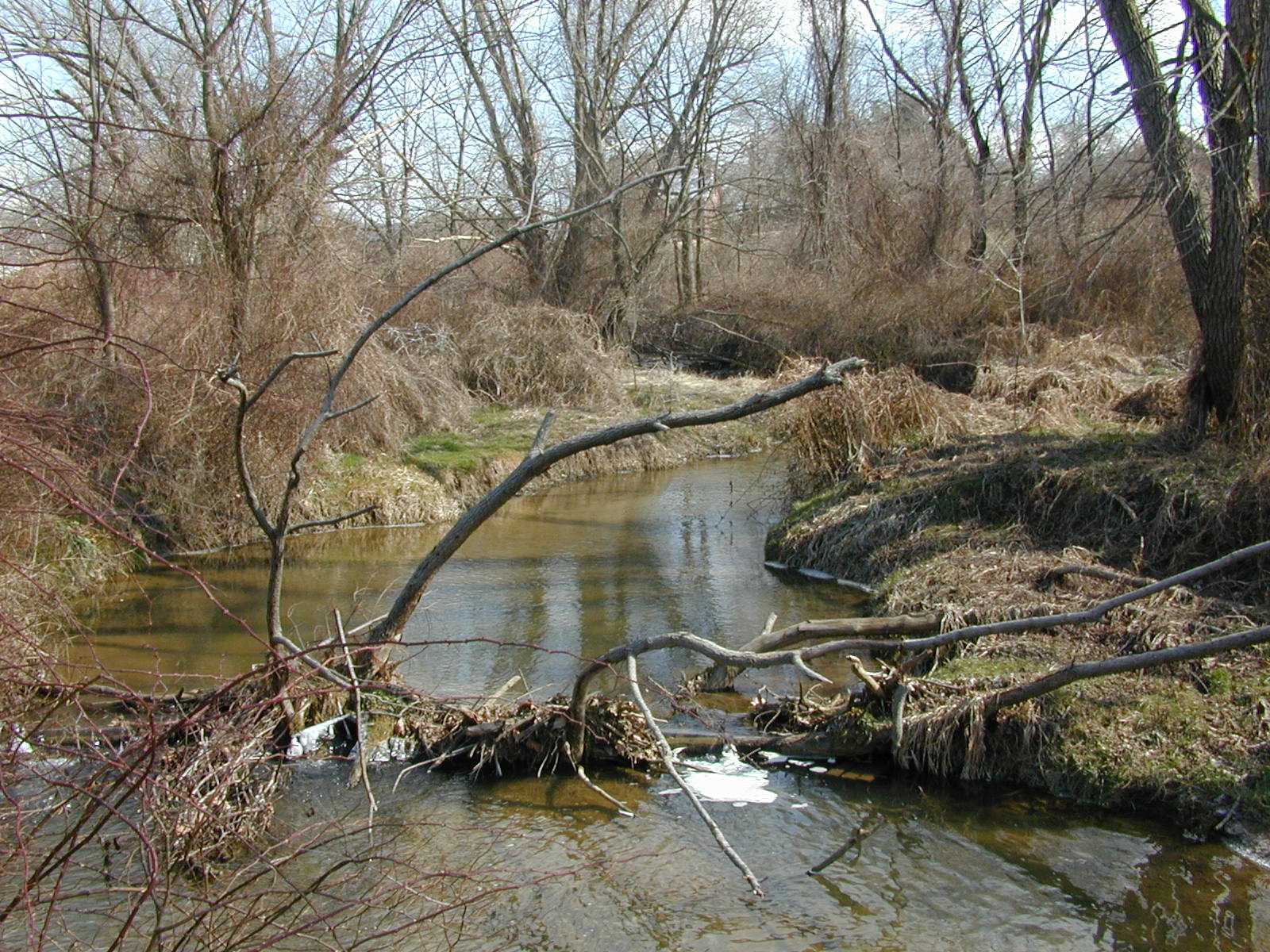 Field photo showing stream conditions at site DOUB-214-R-2002-1