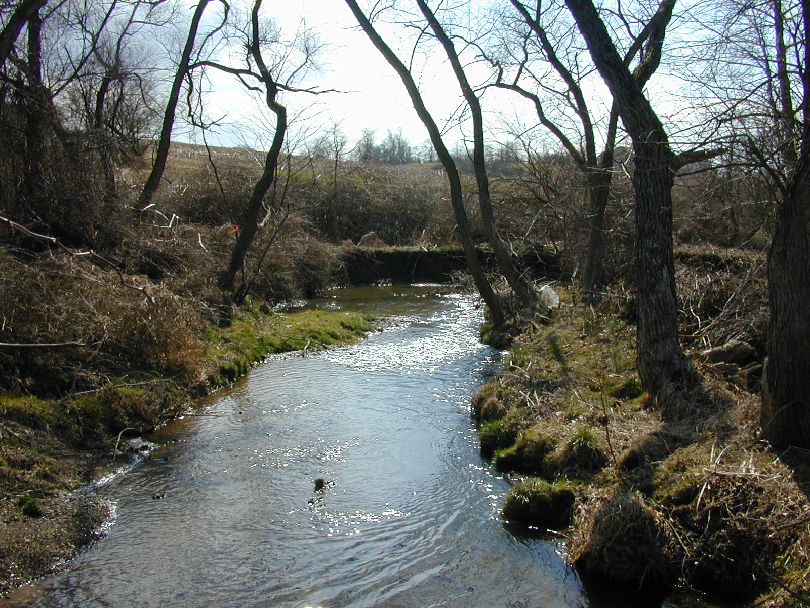 Field photo showing stream conditions at site DOUB-214-R-2002-2