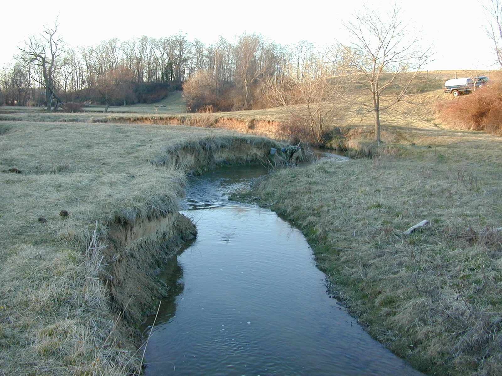 Field photo showing stream conditions at site DOUB-217-R-2002-1