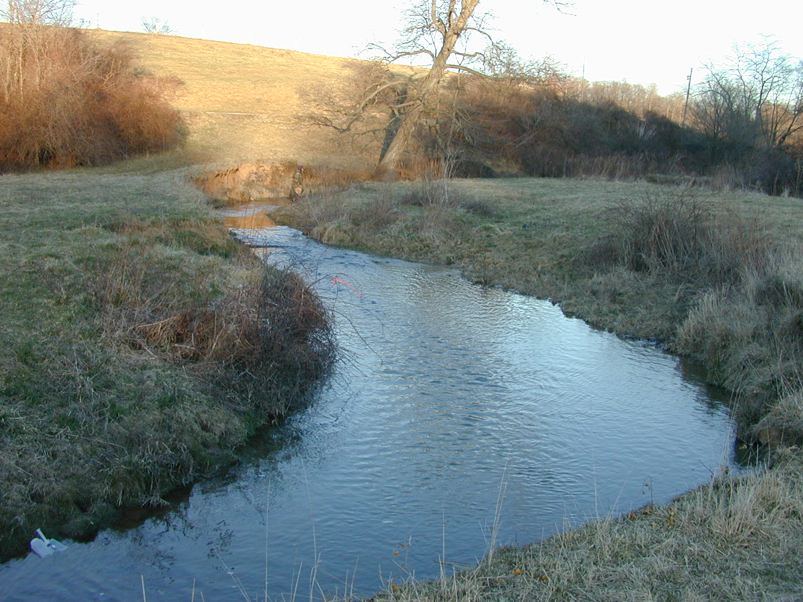 Field photo showing stream conditions at site DOUB-217-R-2002-2