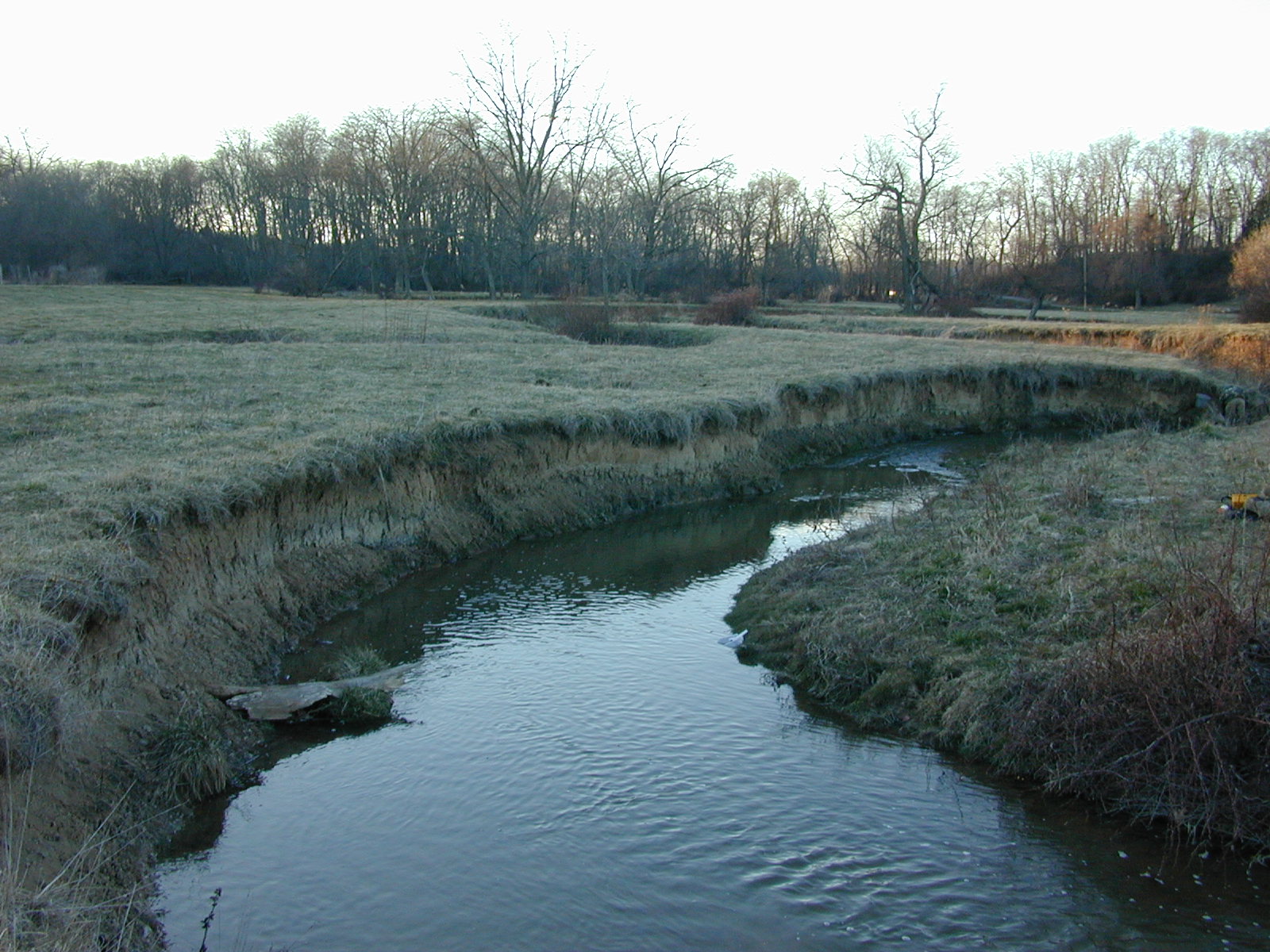 Field photo showing stream conditions at site DOUB-217-R-2002-3