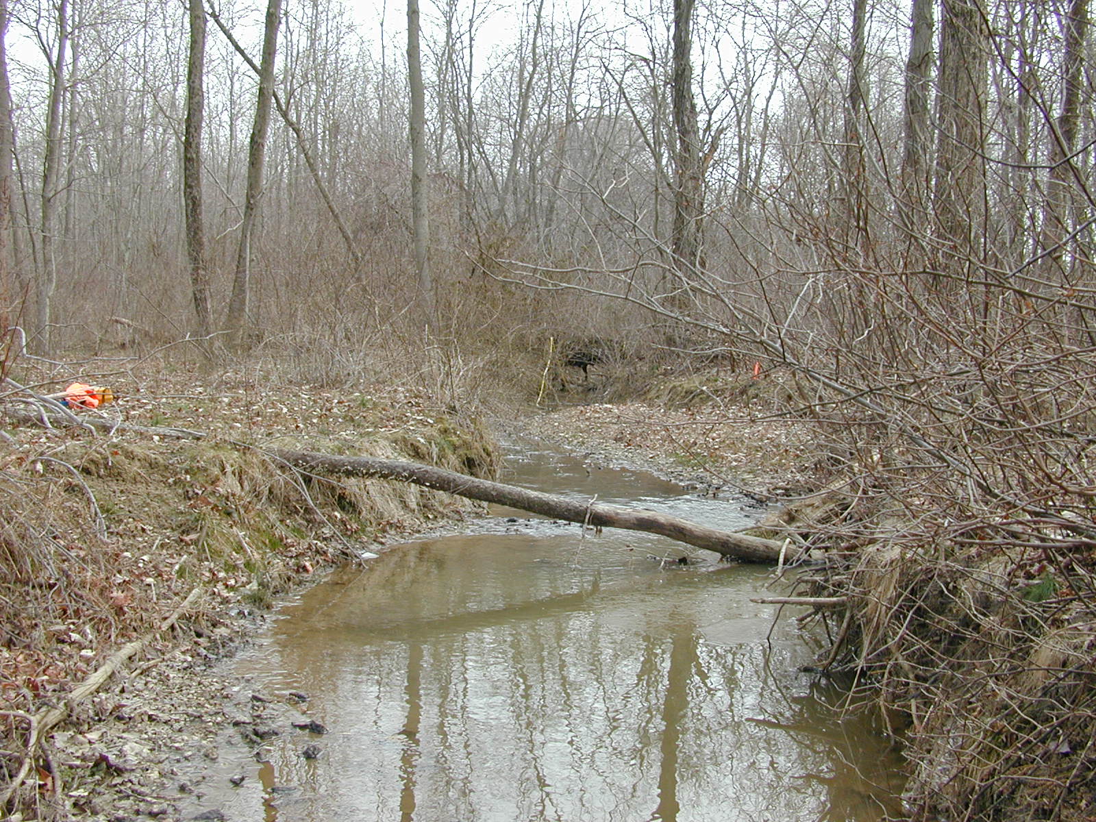 Field photo showing stream conditions at site DOUB-218-R-2002-2