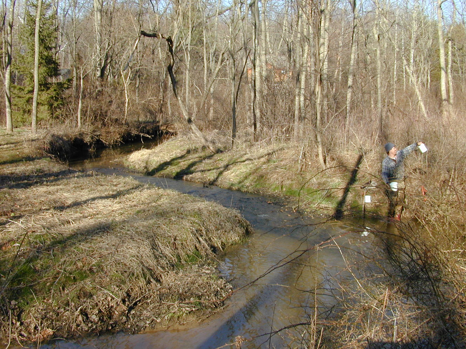 Field photo showing stream conditions at site DOUB-221-R-2002-1
